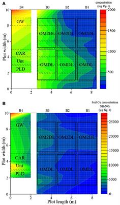 Phytomanagement and Remediation of Cu-Contaminated Soils by High Yielding Crops at a Former Wood Preservation Site: Sunflower Biomass and Ionome